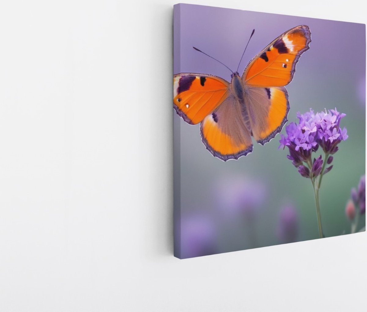 Saammp Canvas Schilderij -Vlinder op paarse bloem - Dieren - Natuur - 30x30 - Foto op canvas - Wanddecoratie - muurdecoratie Woonkamer - Slaapkamer decoratie - Canvas Print Multicolor