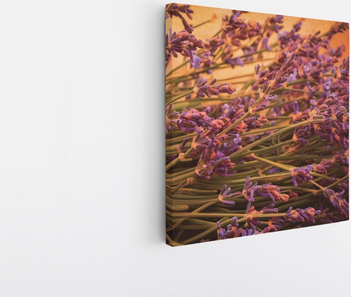 Saammp Canvas Schilderij - Lavendel - Bloemen - 30x30 - Foto op canvas - Wanddecoratie - Muurdecoratie Woonkamer - Kantoor Decoratie Multicolor