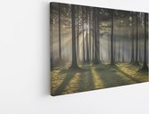 150 cm x 100 cm