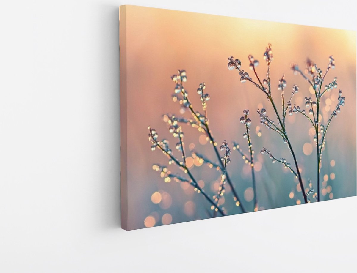 Saammp Canvas Schilderij - Natte Planten - Natuur - Landschap - 40x30 - Foto op canvas - Wanddecoratie - Muurdecoratie Woonkamer - Slaapkamer decoratie - Canvas Print Multicolor