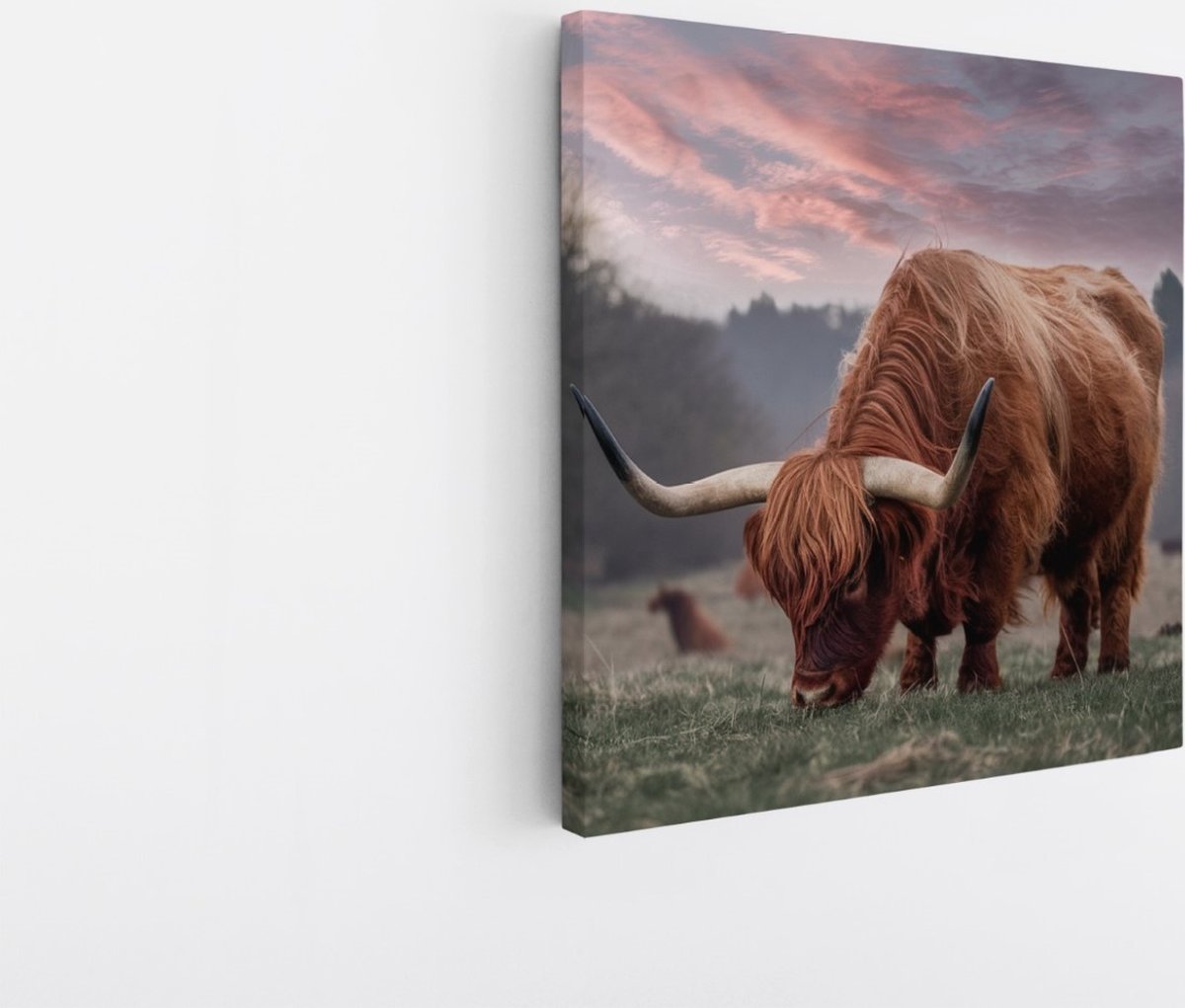 Saammp Canvas Schilderij Schotse Hooglander Koe in de sneeuw- Dieren - Natuur - 20x20 - Foto op canvas - Wanddecoratie - muurdecoratie Woonkamer - Slaapkamer decoratie - Canvas Print Multicolor