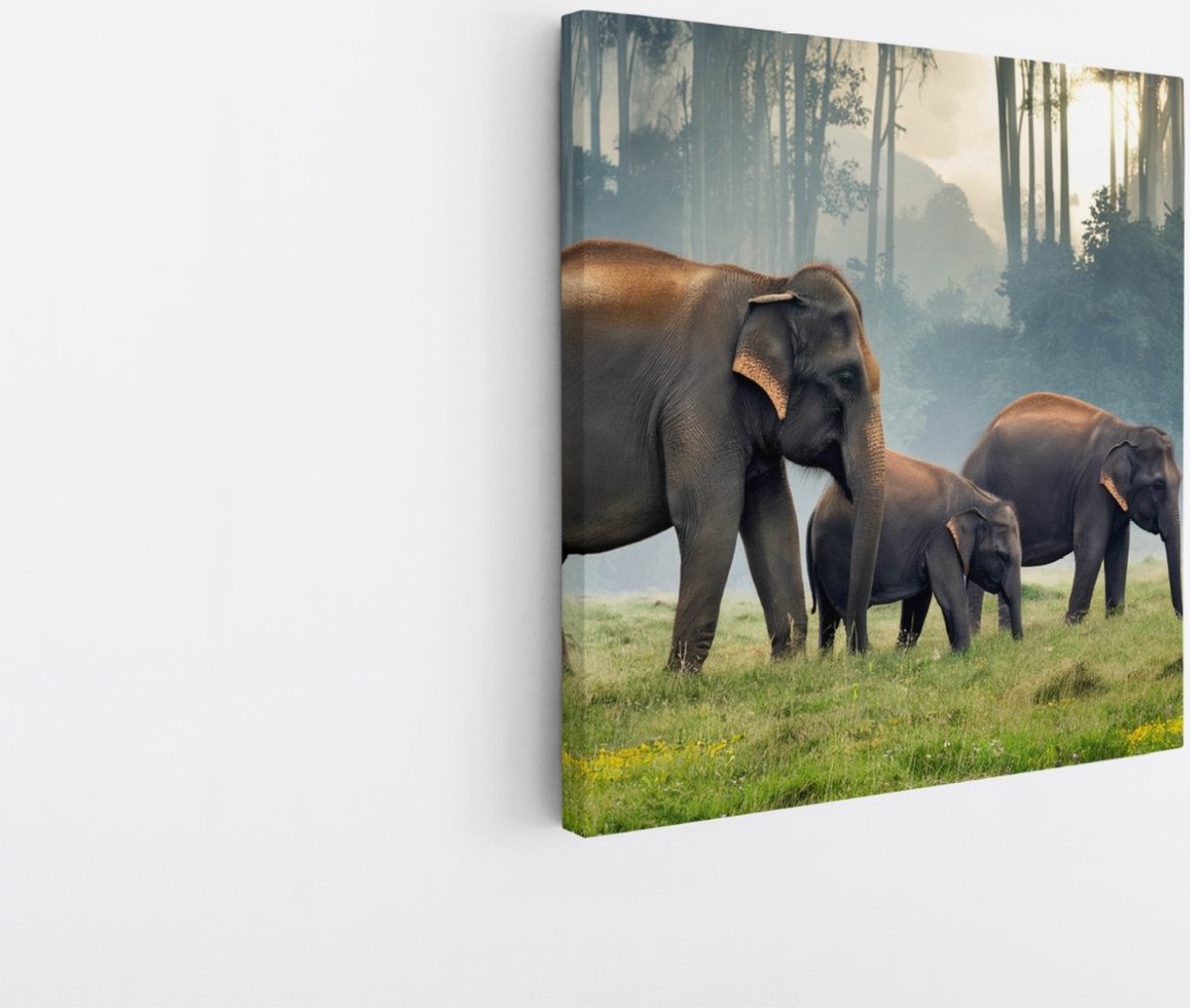 Saammp Canvas Schilderij - Olifanten Familie in thailand - Dieren - 20x20 - Foto op canvas - Wanddecoratie - muurdecoratie Woonkamer - Slaapkamer decoratie - Canvas Print Multicolor