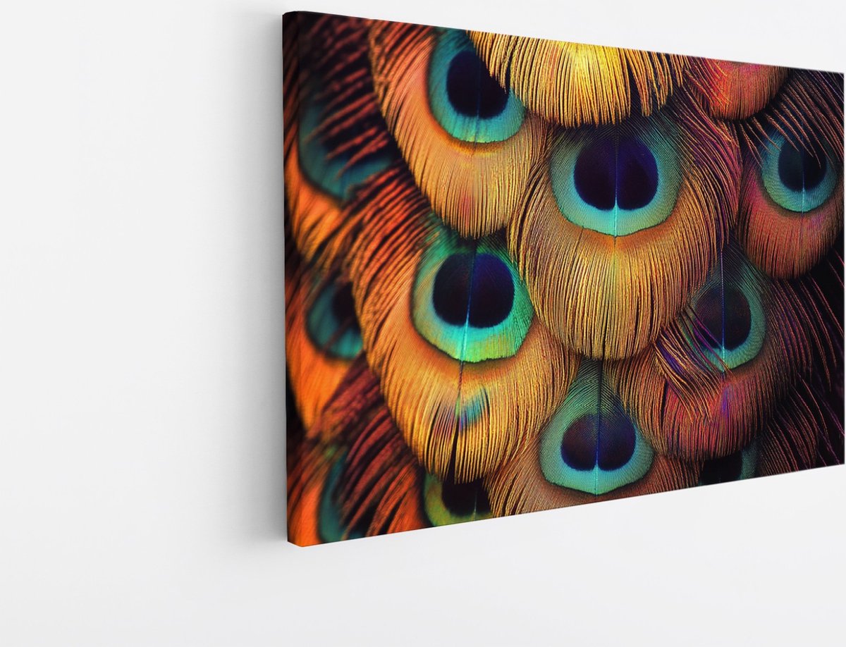 Saammp Canvas Schilderij - Pauwveren - Natuur - Dieren - 45x30 - Foto op canvas - Wanddecoratie - Muurdecoratie Woonkamer - Slaapkamer decoratie - Canvas Print Multicolor
