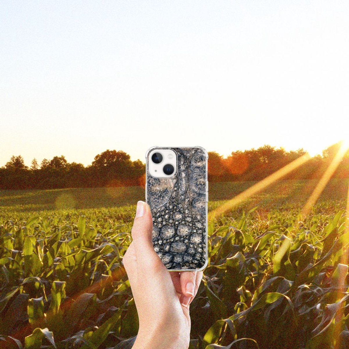 iPhone 13 mini Case Anti-shock Krokodillenprint