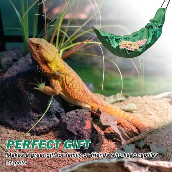 Hikari Reptile Dragon Delite online kopen
