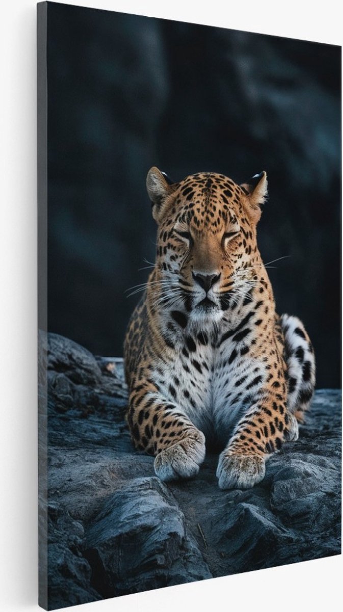 Saammp Canvas Schilderij - Slapende Jaguar - Natuur - Dieren - 100x150 - Foto op canvas - Wanddecoratie - Muurdecoratie Woonkamer - Slaapkamer decoratie - Canvas Print Multicolor