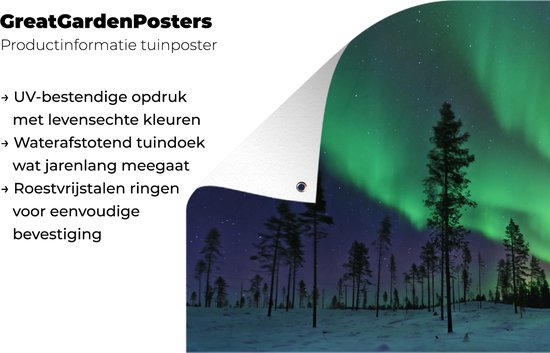 Northern lights above Sweden Garden poster 200x100 cm - Toile de jardin / Toile d'extérieur / Peintures d'extérieur (décoration de jardin) XXL / Groot format!