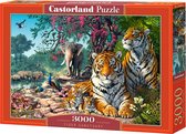 Castorland Tiger Sanctuary - 3000pcs