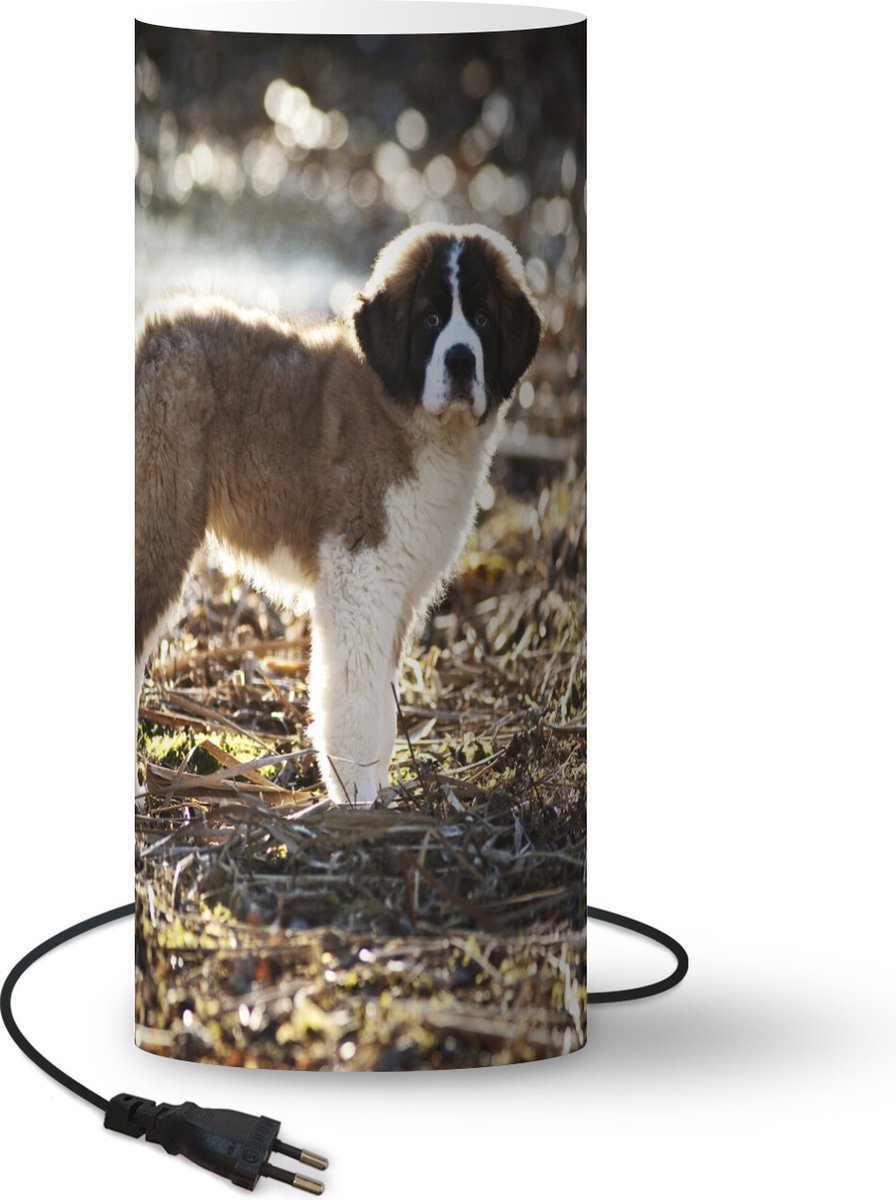 Lamp - Nachtlampje - Tafellamp slaapkamer - In de camera kijkende Sint Bernard puppie - 54 cm hoog - Ø22.9 cm - Inclusief LED lamp