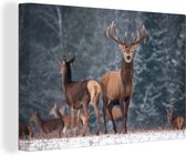 Canvas - Herten - Landschap - Dieren - Winter - Sneeuw - Woondecoratie - 120x80 cm - Foto op canvas - Canvas doek