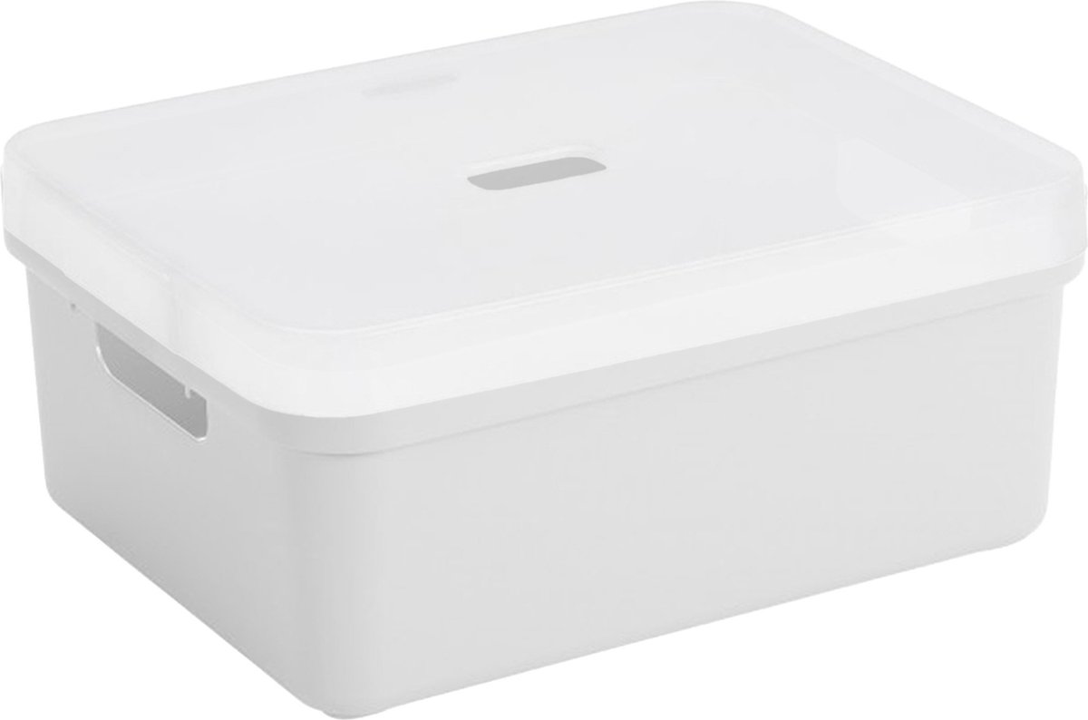 Sunware opbergbox/mand/kist van 24 liter wit kunststof met transparante deksel - 45 x 35 x 18 cm