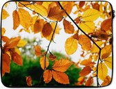 Housse ordinateur portable 15,6 pouces - Feuilles d'automne - Arbre - Rural - Housse ordinateur portable - Dimensions intérieures 39,5x29,5 cm - Dos noir
