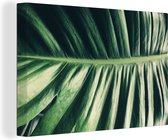 Toile Peinture Feuilles - Tropical - Jungle - 120x80 cm - Décoration murale