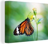 Canvas Schilderij Vlinder - Bloemen - Insecten - 40x30 cm - Wanddecoratie