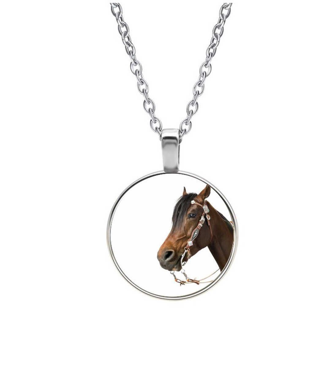 Ketting Glas - Paard