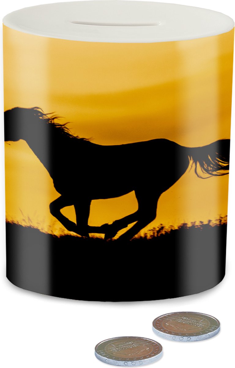 Tirelire Cheval Pour Enfants - En Fer Blanc - Idée Cadeau Anniversaire Ou Noël - 8,3x12,5cm
