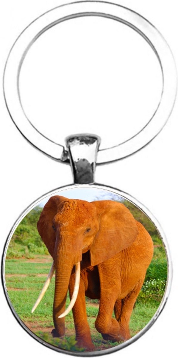 Sleutelhanger Glas - Olifant