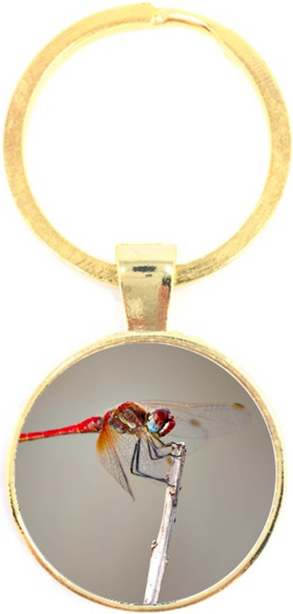 Sleutelhanger Glas - Libelle