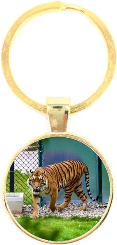Sleepy Tiger Sleutelhanger - Leuke acryl charme - België Sleepy Tiger Sleutelhanger - Leuke acryl charme - België