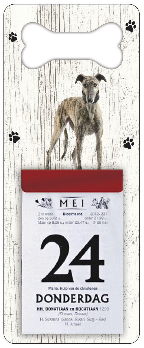 Scheurkalender 2026 Hond: Greyhound
