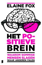 Het Positieve Brein