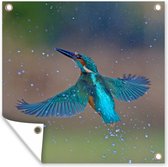 Tuindoek IJsvogel - Vliegen - Blauw - 100x100 cm