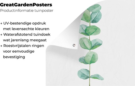 Aquarelle illustration eucaluptus plant jardin affiche toile en vrac 100x100 cm - toile de jardin / toile d'extérieur / Peintures pour l'extérieur (décoration de jardin)