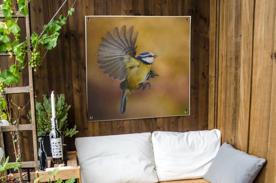 Affiche de jardin Mésange en volant 100x100 cm - Toile de jardin / Toile d'extérieur / Peintures d'extérieur (décoration de jardin)