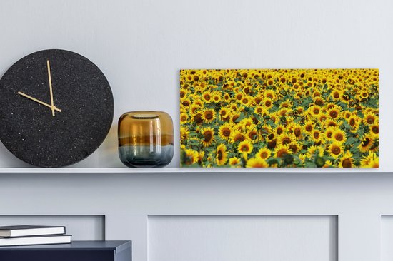 Tableau sur toile Tournesol - Fleurs - Nature - 40x20 cm - Décoration murale