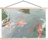 groupe de carpes koi dans un étang affiche scolaire lattes plates vierges 120x80 cm - Tirage photo sur poster textielposter (décoration murale salon / chambre)
