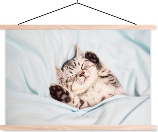 Poster textielposter chaton endormi 120x80 cm