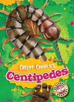 Creepy Crawlies - Centipedes