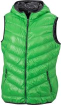 James and Nicholson Dames/dames in het Vest (Groen/koolstof Grijs)