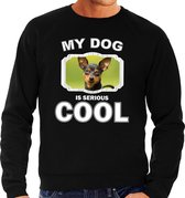 Dwergpinscher honden trui / sweater my dog is serious cool zwart - heren - Dwergpinschers liefhebber cadeau sweaters M