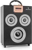 auna Central Park 2.1 mobiele Bluetooth-Luidspreker , FM tuner , mediaspeler met SD- en USB-interface , geintegreerde accu