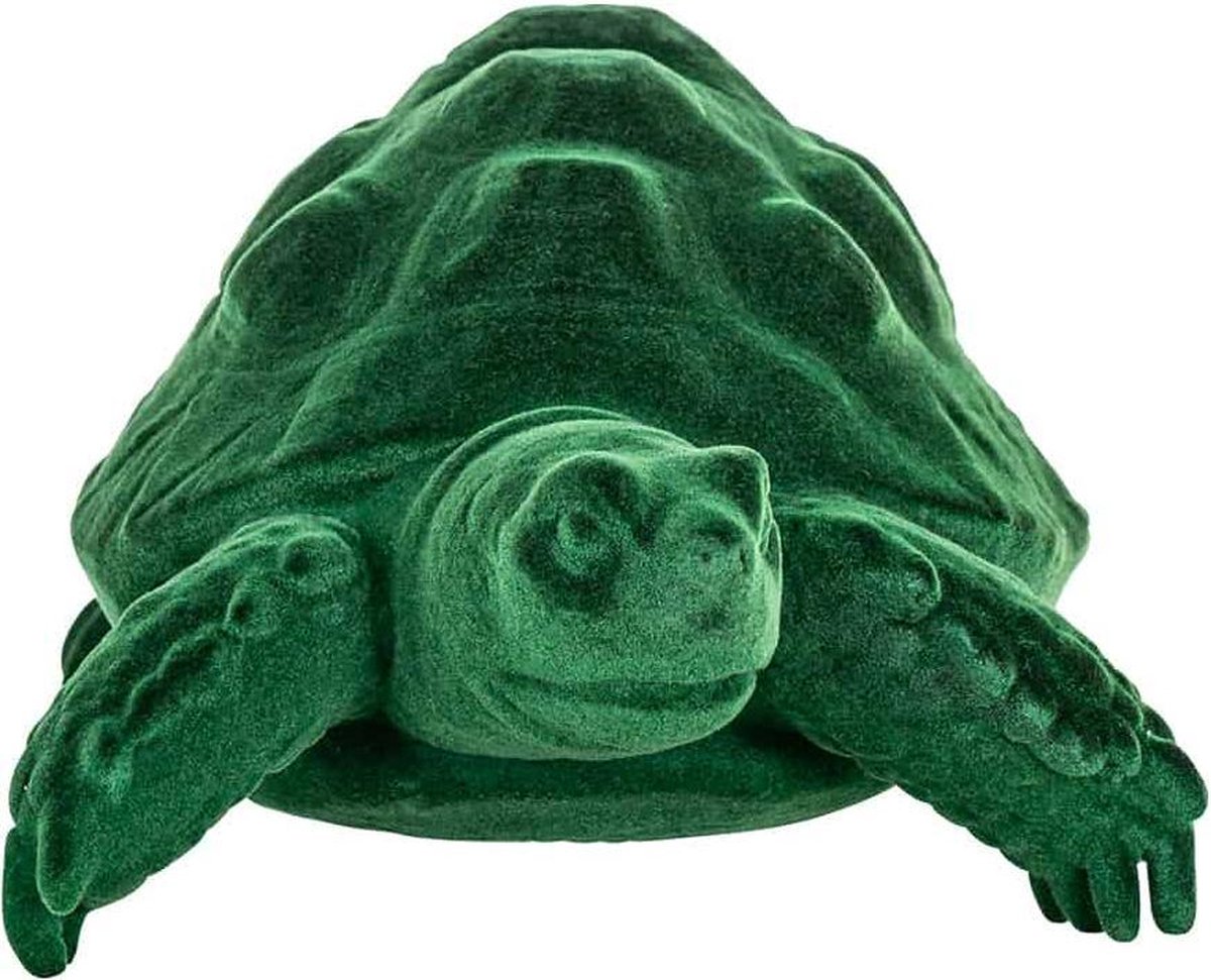 Richmond - Schildpad Pokey green