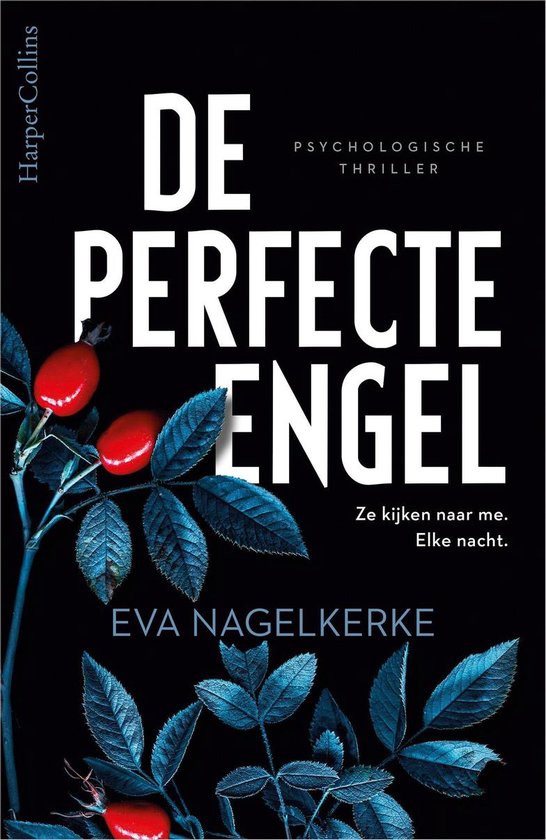 De perfecte engel - cover