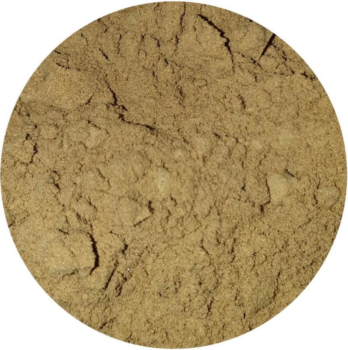 Goedkoopste Eekhoorntjesbrood Poeder Boletos - 100 gram - Holyflavours