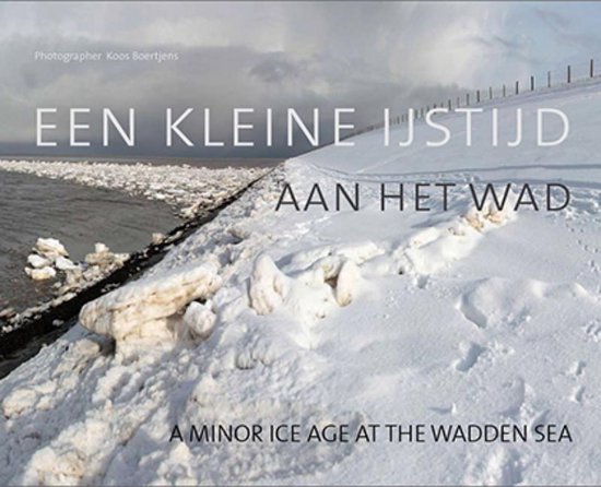 Cover van het boek 'Een kleine ijstijd aan het wad'