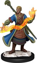 Dungeons and Dragons: Nolzur's Marvelous Minatures - Half-Elf Wizard Male