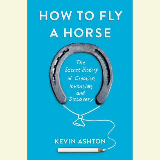 How to Fly a Horse - cover