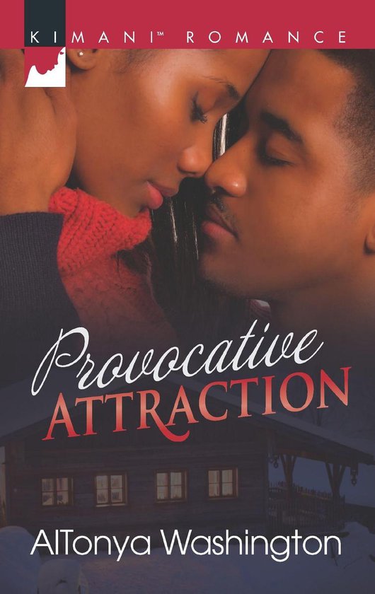 Provocative Attraction - cover