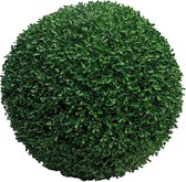 By Kohler Buxusbol rond 45x45x45 cm (110547)