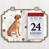 Scheurkalender 2023 Hond: Rhodesian Ridgeback
