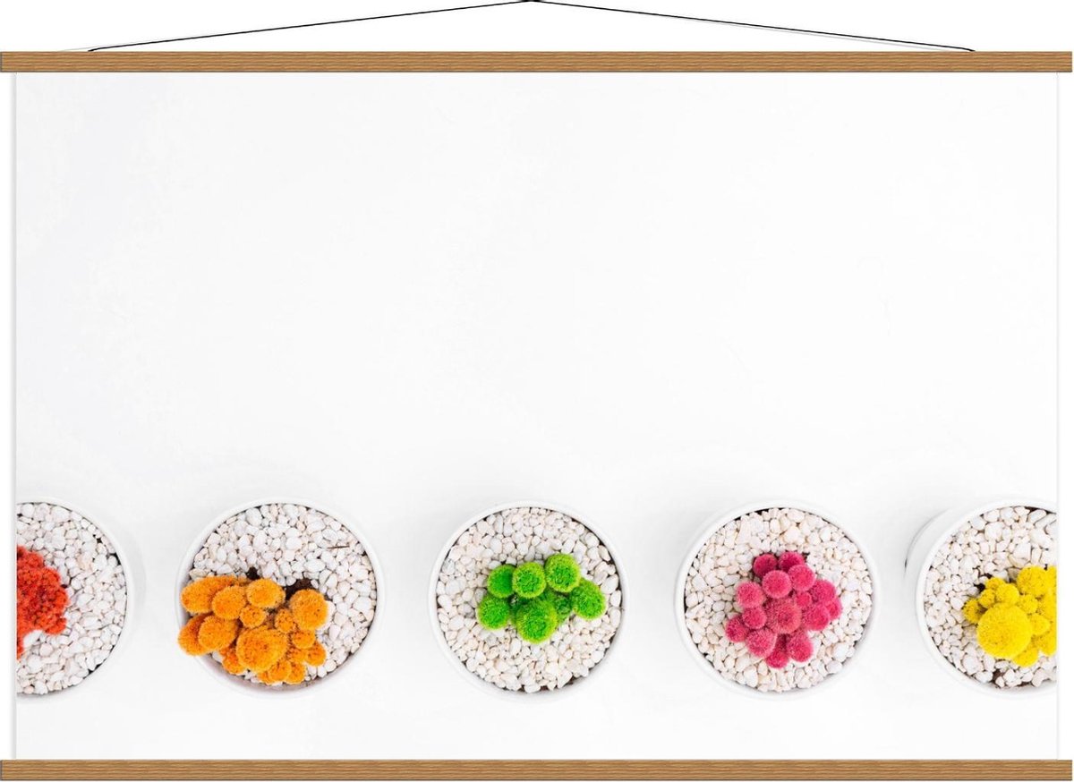 Schoolplaat – Gekleurde Cactuspotjes - 120x80cm Foto op Textielposter (Wanddecoratie op Sc