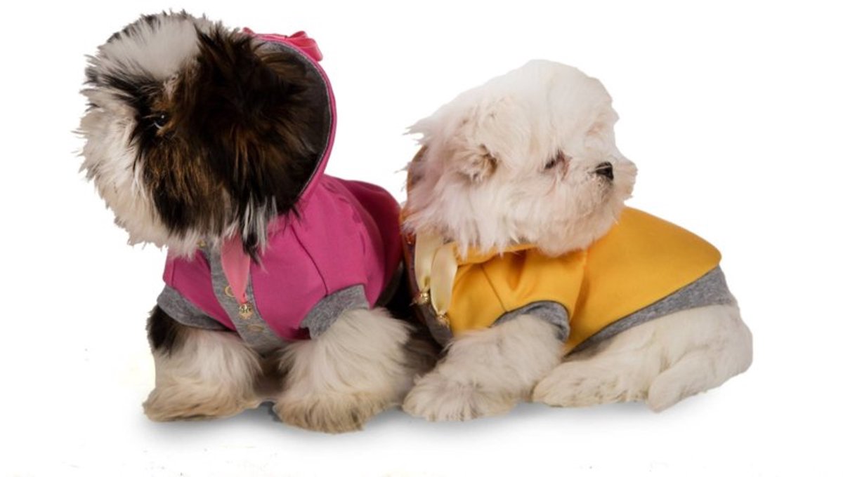 I Love My Dog Hoodie Sugar Baby, Pink  Maat  XS en SM