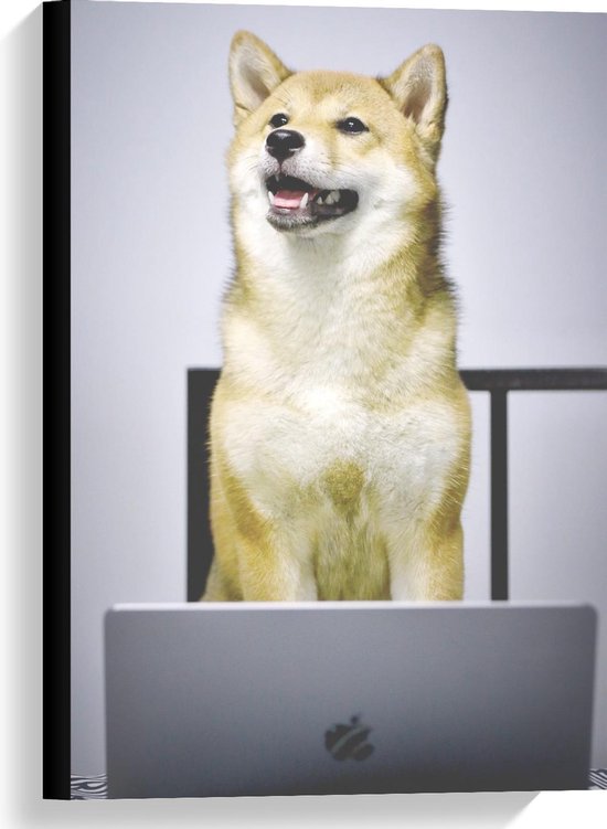 Canvas  - Werkende Hond achter achter Laptop - 40x60cm Foto op Canvas Schilderij (Wanddecoratie op Canvas)