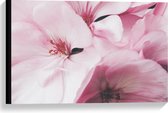 Canvas  - Licht Roze Bloemen  - 60x40cm Foto op Canvas Schilderij (Wanddecoratie op Canvas)