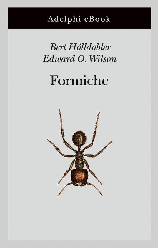 Formiche - cover