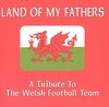 Land Of My Fathers (a Tribute To The Welsh Football Team)